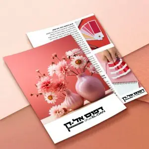 חוברת סיכות